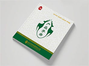 國家電網(wǎng)能源研究院畫冊(cè)設(shè)計(jì)案例圖片欣賞 西風(fēng)東韻設(shè)計(jì)公司